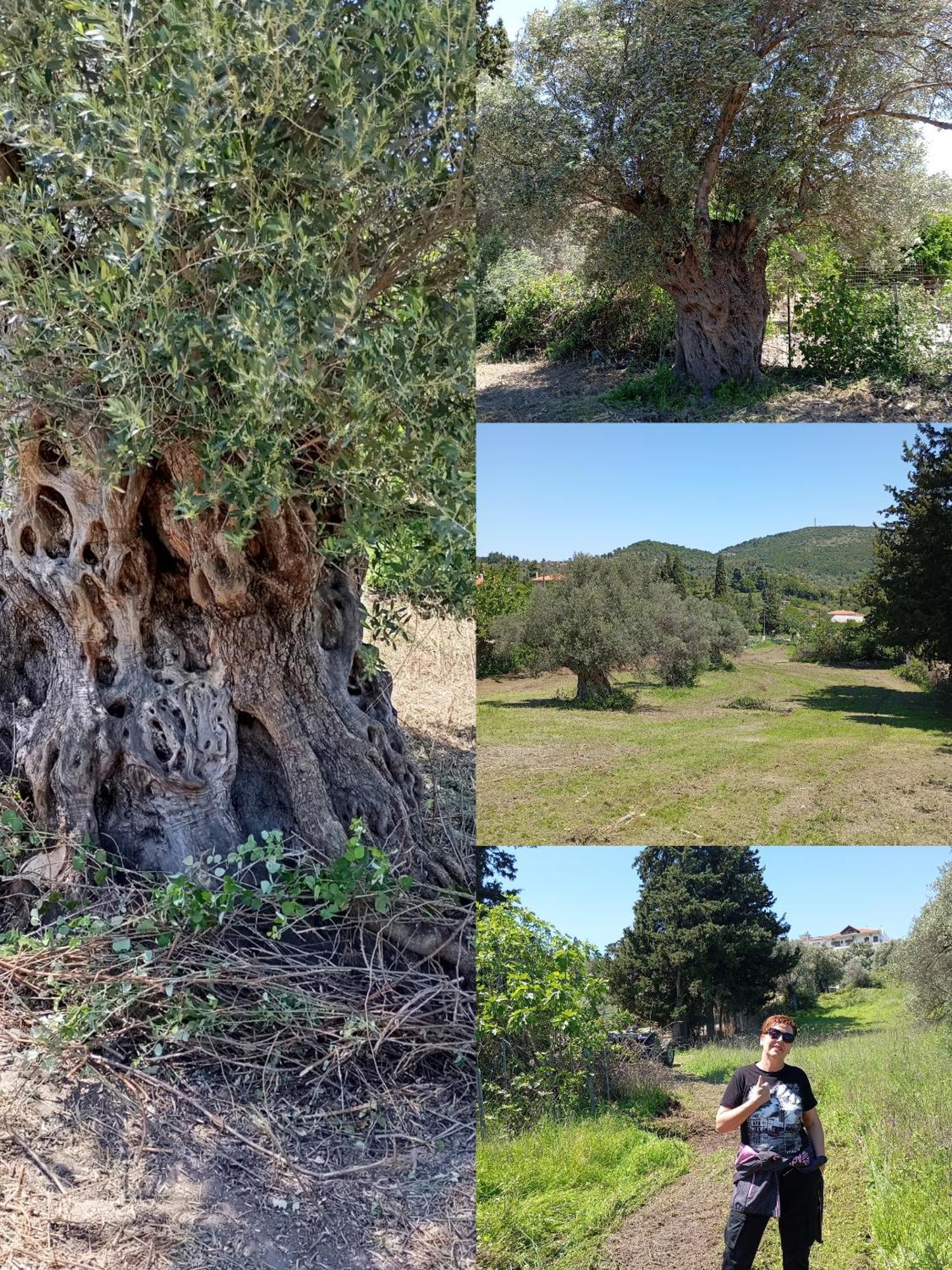 La Nature Konistres Εξωτερικό φωτογραφία
