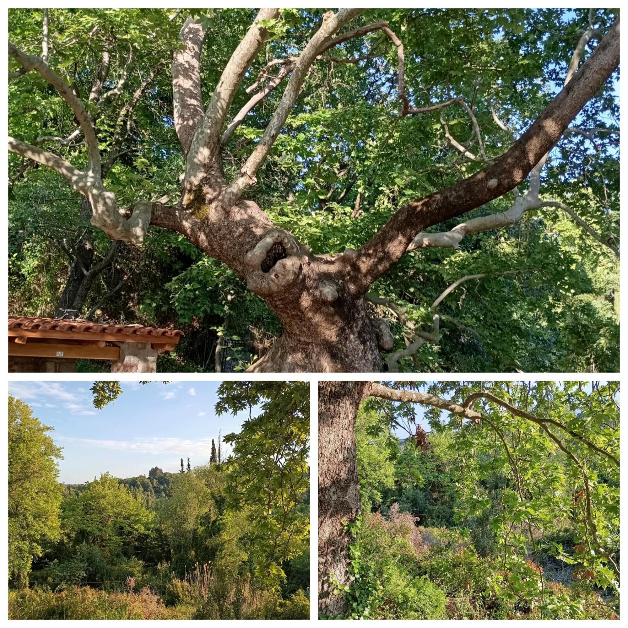 La Nature Konistres Εξωτερικό φωτογραφία